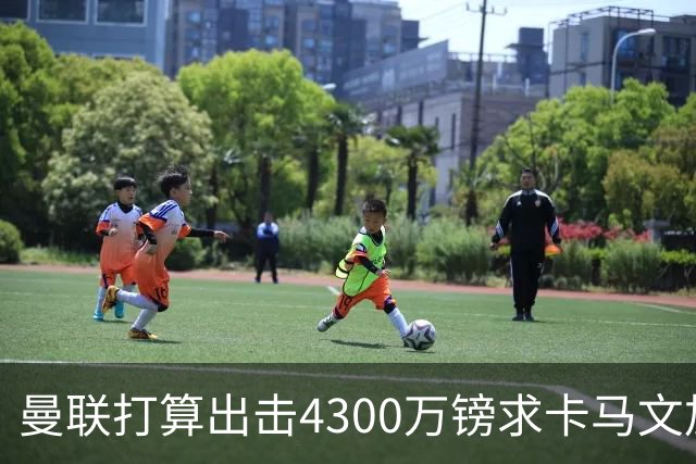 曼联打算出击4300万镑求卡马文加，2600万镑拿下巴尔德
