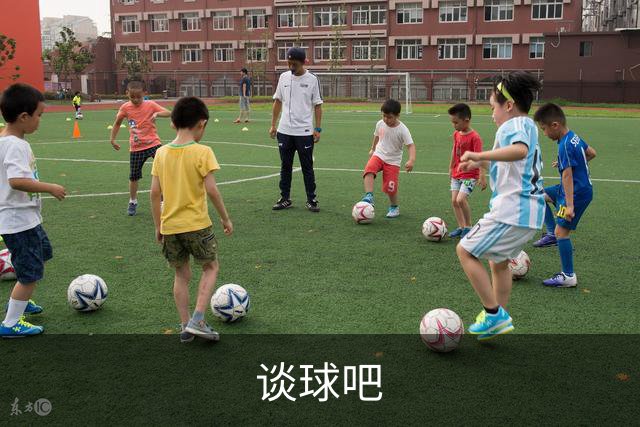 谈球吧公司介绍展示图